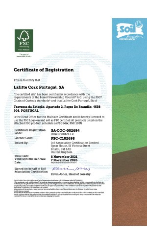 Cork FSC Certificate thumbnail