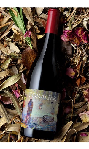 FORAGER Sonoma County Pinot Noir sitting on leaves thumbnail