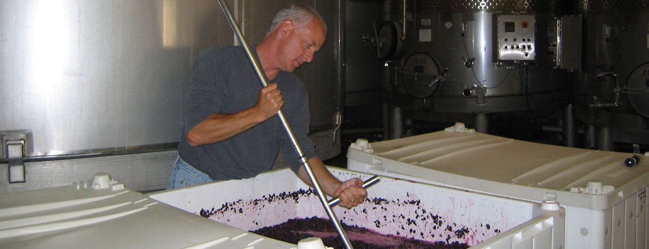 Winemaker Jonathan Pey punching down Pinot Noir in tank